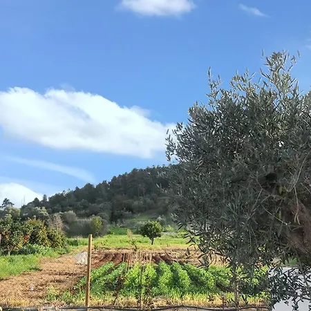 Cozy House With Garden In Messines 149 M² Mountain View Nyaraló *