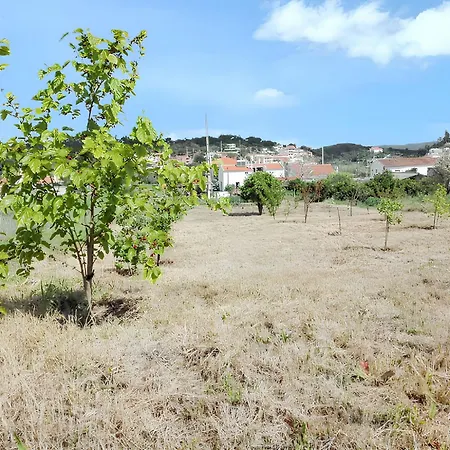 Nyaraló Cozy House With Garden In Messines 149 M² Mountain View São Bartolomeu de Messines