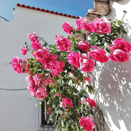 Cozy House With Garden In Messines 149 M² Mountain View São Bartolomeu de Messines