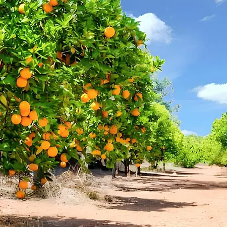 بيت للعطل Cozy House With Garden In Messines 149 M² Mountain View São Bartolomeu de Messines