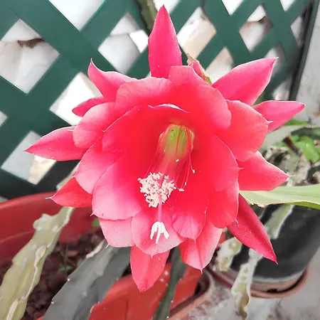 Casa de Férias Cozy House With Garden In Messines 149 M² Mountain View *